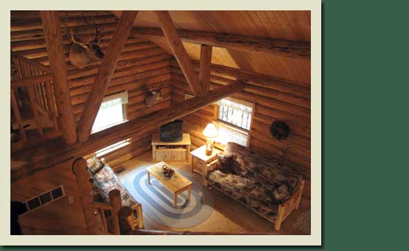 Log Cabin Loft View