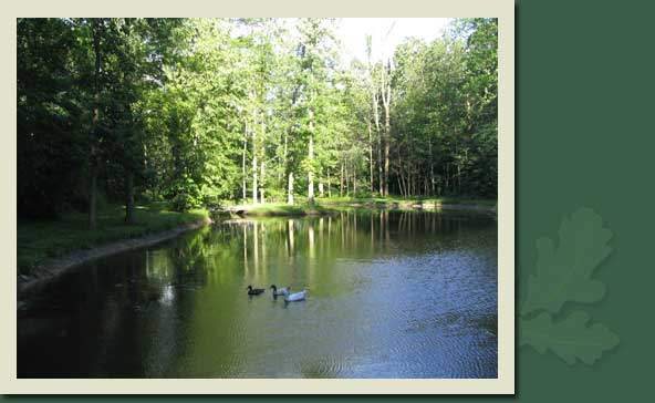 amish country log cabin lodging